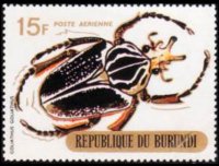 Burundi 1970 - set Beetles: 15 fr