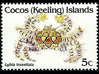 Cocos Islands 1992 - set Shellfishes: 5 c
