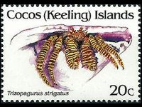 Cocos Islands 1992 - set Shellfishes: 20 c