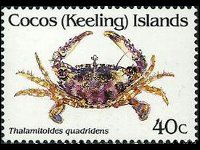 Cocos Islands 1992 - set Shellfishes: 40 c