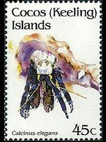 Cocos Islands 1992 - set Shellfishes: 45 c