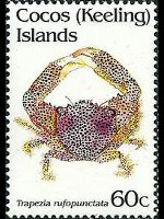 Cocos Islands 1992 - set Shellfishes: 60 c