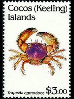Cocos Islands 1992 - set Shellfishes: 3 $