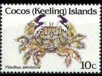 Cocos Islands 1992 - set Shellfishes: 10 c