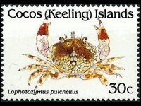 Cocos Islands 1992 - set Shellfishes: 30 c
