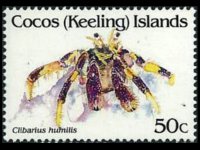 Cocos Islands 1992 - set Shellfishes: 50 c
