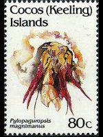 Cocos Islands 1992 - set Shellfishes: 80 c