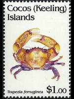 Cocos Islands 1992 - set Shellfishes: 1 $