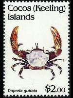 Cocos Islands 1992 - set Shellfishes: 2 $
