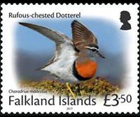 Isole Falkland 2017 - serie Uccelli: 3,50 £