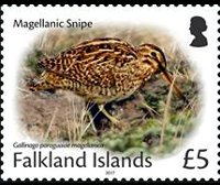 Isole Falkland 2017 - serie Uccelli: 5 £