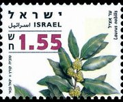 Israel 2006 - set Medicinal herbs and spices: 1,55 s