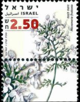 Israele 2006 - serie Erbe officinali e spezie: 2,50 s