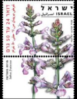 Israel 2006 - set Medicinal herbs and spices: -