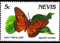 Nevis 1991 - serie Farfalle: 5 c