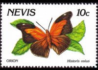 Nevis 1991 - serie Farfalle: 10 c