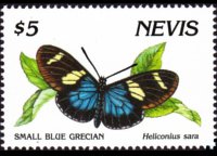 Nevis 1991 - serie Farfalle: 5 $