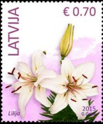 Latvia 2014 - set Flowers: 0,70 €
