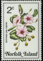 Norfolk Island 1984 - set Flowers: 2 c
