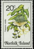 Norfolk Island 1984 - set Flowers: 20 c