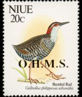 Niue 1993 - serie Uccelli: 20 c