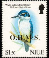 Niue 1993 - serie Uccelli: 1,50 $