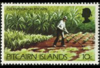 Isole Pitcairn 1977 - serie Soggetti vari: 10 c