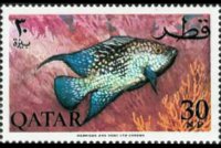 Qatar 1965 - set Fish: 30 np