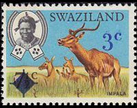 Swaziland 1969 - serie Animali: 3 c su 7½ c