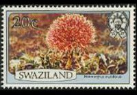 Swaziland 1980 - set Flowers: 20 c