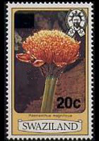 Swaziland 1980 - set Flowers: 20 c su 3 c