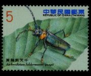 Taiwan 2010 - serie Coleotteri longicorni: 5,00 $