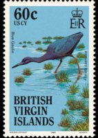 Isole Vergini britanniche 1985 - serie Uccelli: 60 c