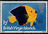Isole Vergini britanniche 1975 - serie Pesci: ½ c