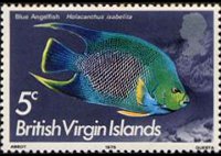 Isole Vergini britanniche 1975 - serie Pesci: 5 c