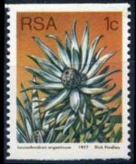 South Africa 1977 - set Proteaceae: 1 c