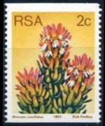 South Africa 1977 - set Proteaceae: 2 c