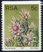 South Africa 1977 - set Proteaceae: 5 c