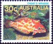Australia 1984 - set Sea life: 30 c
