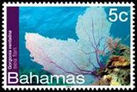 Bahamas 2012 - set Sea life: 5 c