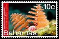 Bahamas 2012 - set Sea life: 10 c