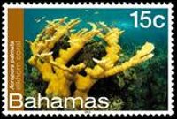 Bahamas 2012 - serie Vita marina: 15 c