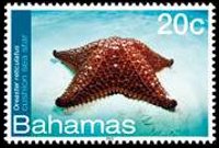 Bahamas 2012 - set Sea life: 20 c