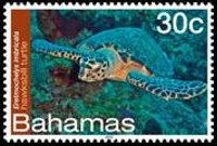 Bahamas 2012 - set Sea life: 30 c