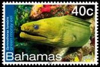 Bahamas 2012 - set Sea life: 40 c