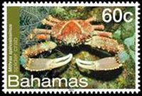 Bahamas 2012 - set Sea life: 60 c