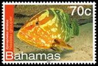 Bahamas 2012 - set Sea life: 70 c