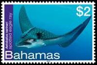 Bahamas 2012 - set Sea life: 2 $