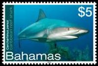 Bahamas 2012 - set Sea life: 5 $