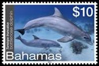 Bahamas 2012 - serie Vita marina: 10 $